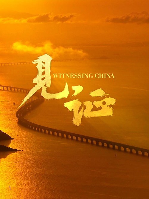 创意视频｜见证