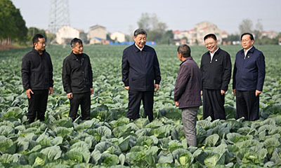 习近平在湖北考察调研