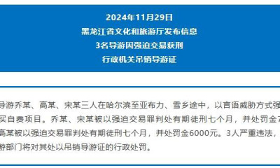 3名导游因强迫交易获刑七个月 导游证被吊销