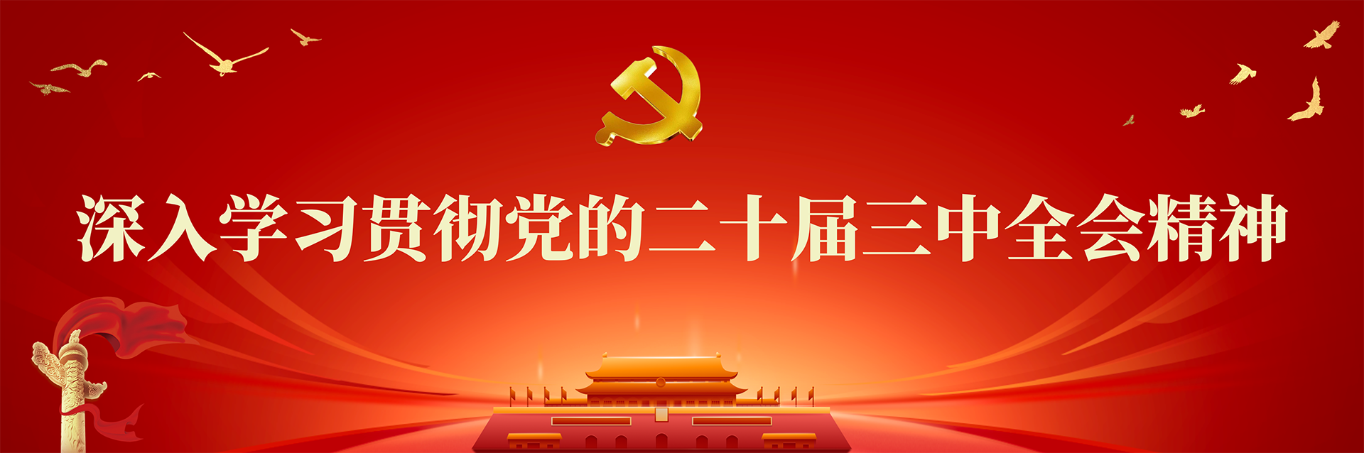 学习贯彻党的二十届三中全会精神