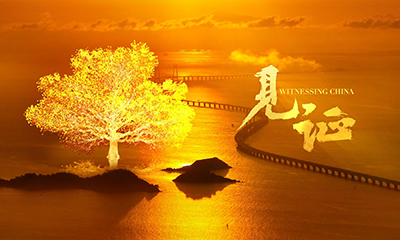 创意视频｜见证