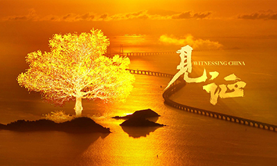 创意视频｜见证