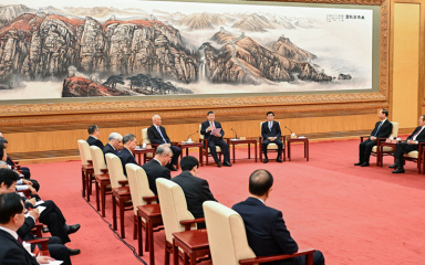 习近平同党外人士共迎新春
