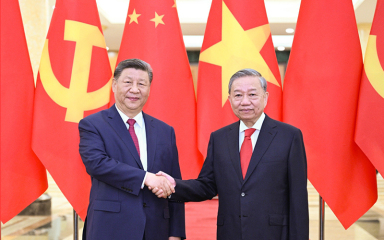 习近平同越共中央总书记苏林举行会谈