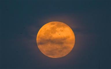 “超级月亮”现身天宇