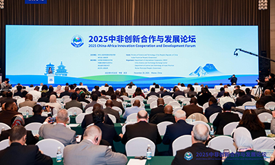 2025中非创新合作与发展论坛在武汉开幕