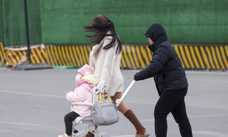 北京遭遇大风降温天气