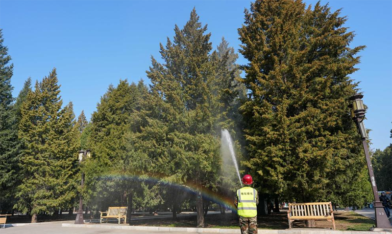 北京：多项措施应对&ldquo;花粉季&rdquo;