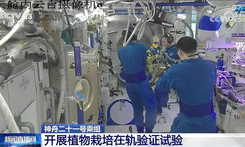神舟二十一号乘组开展植物栽培在轨验证试验